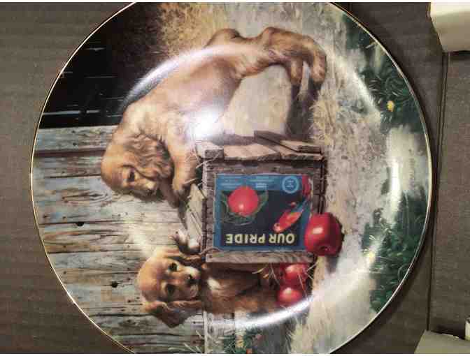 Dog collector plate