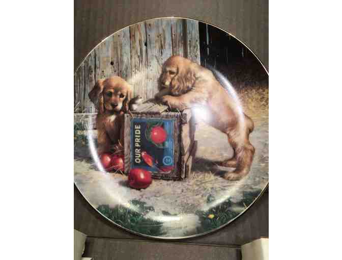 Dog collector plate