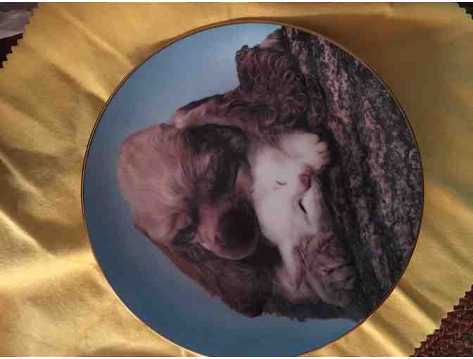 Cat and dog buddy collectors plate