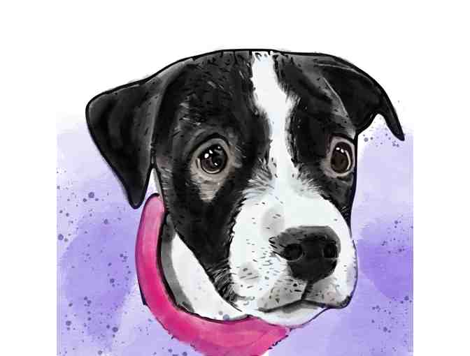 Personalized Pet Portrait From Your Photo