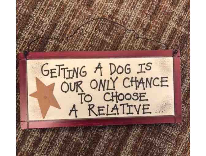 Getting A Dog Is Our Only Chance To Choose....