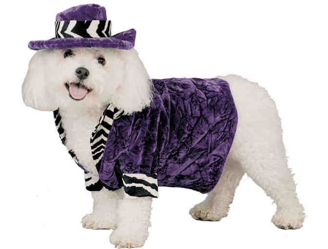 Dog Pimp Costume