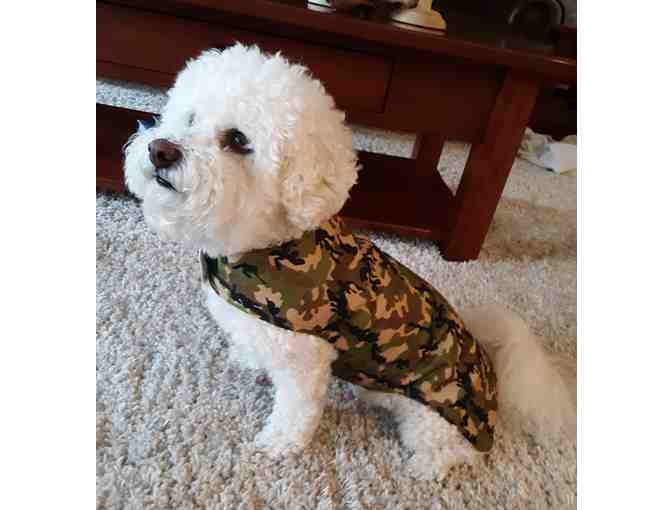 Dog Raincoat - Camouflage