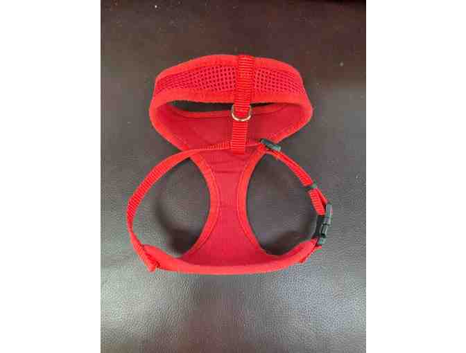 XS Red Harness