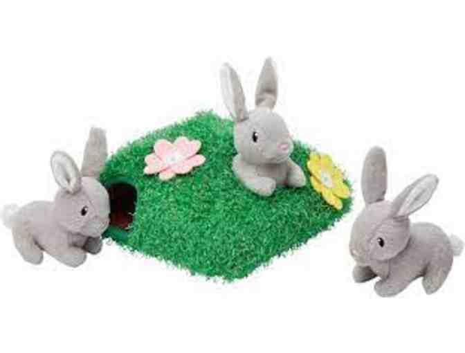 Frisco Spring Bunny Burrow Hide & Seek Plush Squeaky Toy