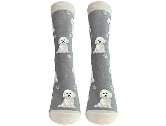 Bichon Themed Socks