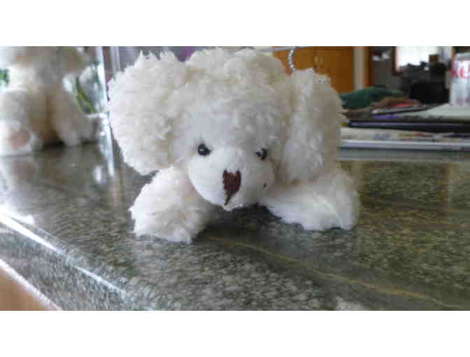 Small stuffed bichon dog