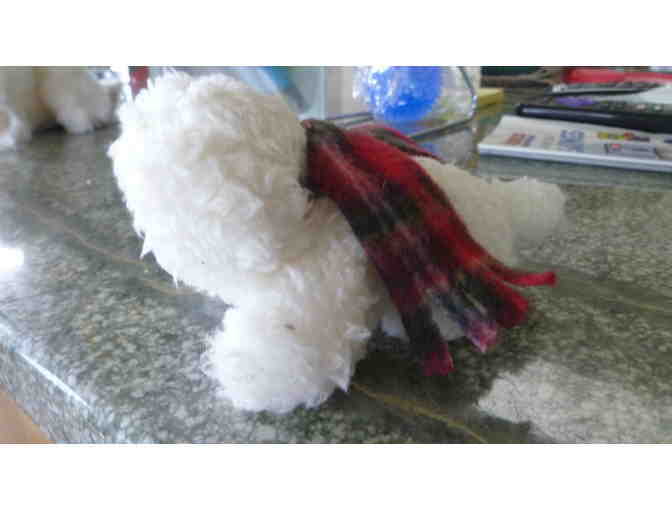 Small stuffed bichon dog