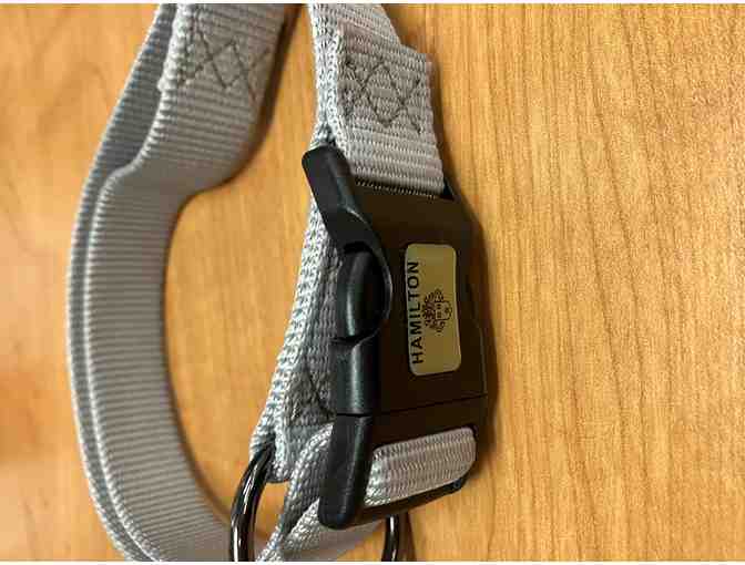 Hamilton Dog Collar
