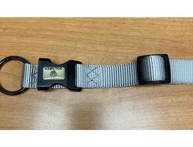 Hamilton Dog Collar