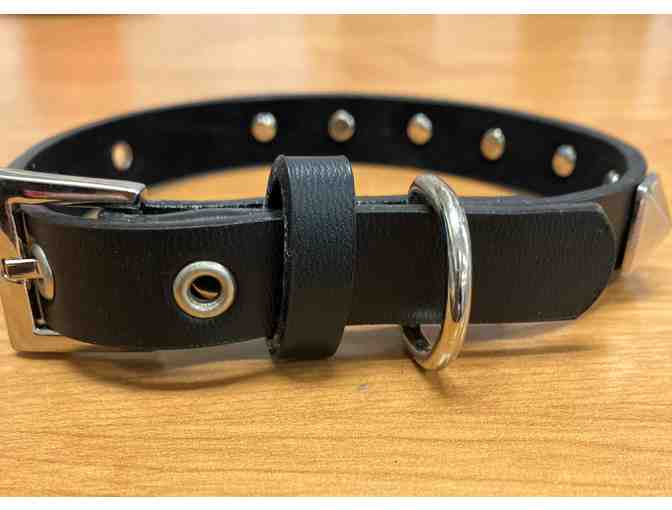 Skull and Stud dog collar