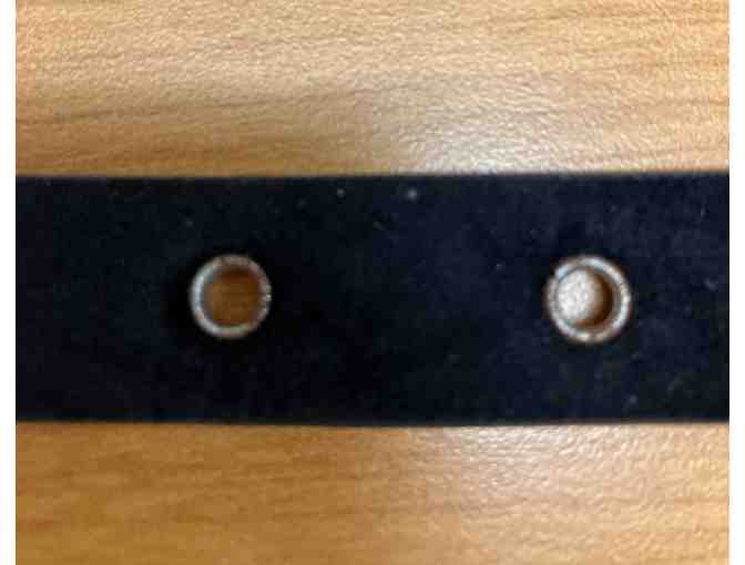 Skull and Stud dog collar