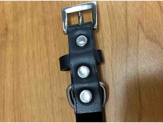 Skull and Stud dog collar