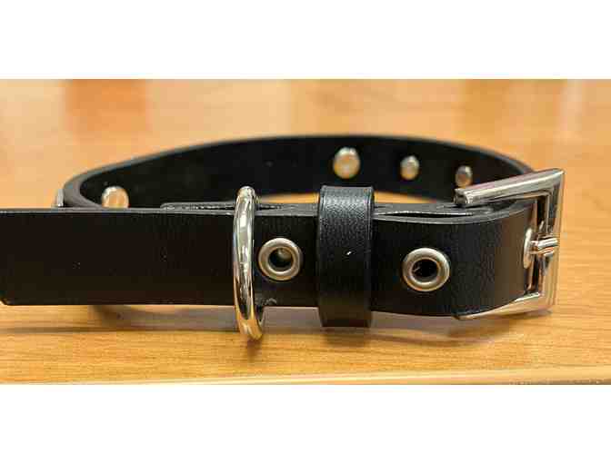 Stud and Rhinestone Dog Collar