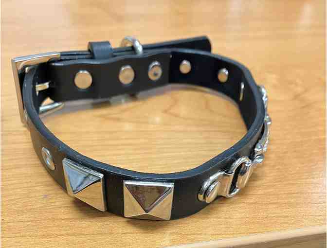 Stud and Rhinestone Dog Collar