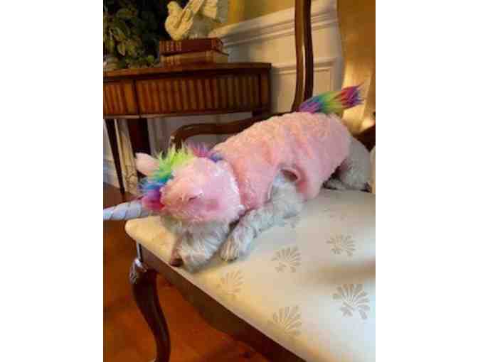 Unicorn Dog Costume
