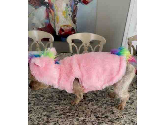 Unicorn Dog Costume