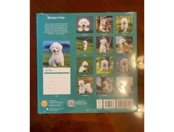 Bichon Calendar 2024