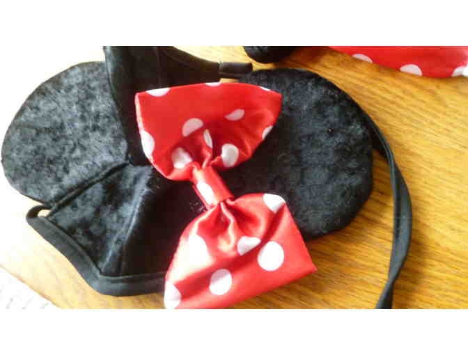 Minnie Mouse Costume