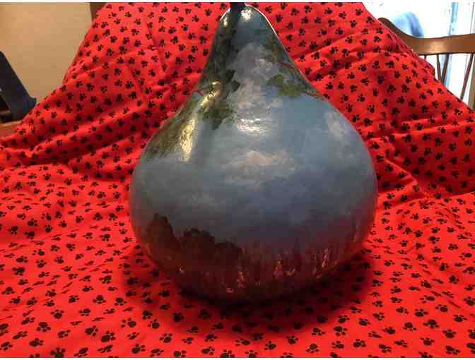 Bichon Relaxing in Hammoch Gourd