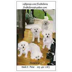 Fivebichons