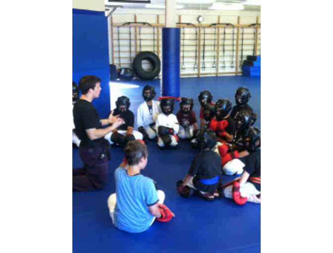 Mount Tam MMA: 1 One Month Classes
