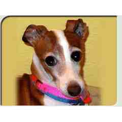 Fifi & Fido's Pet Boutique