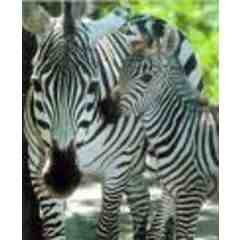 Laddie and Camille Denton