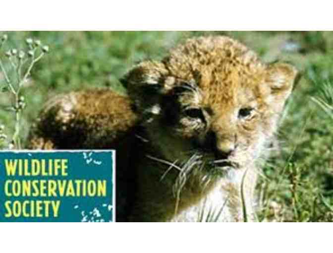 1 Year Family Membership to NYC Zoos - Photo 1