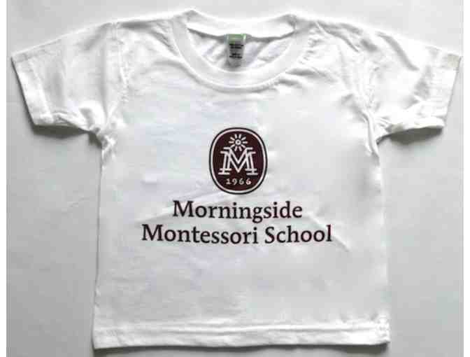 Summer of Science Camp for Preschoolers at Morningside Montessori
