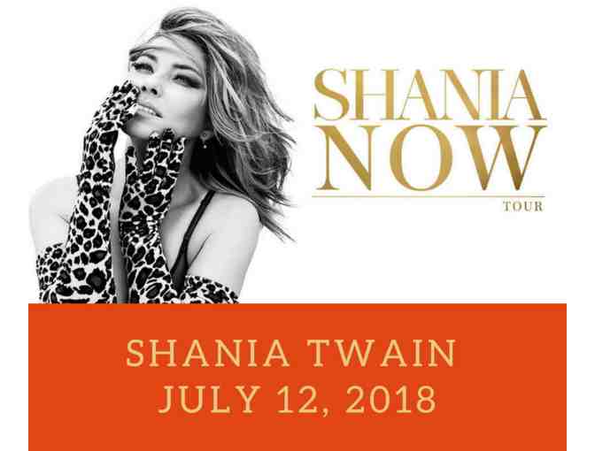 Shania Twain: NOW Tour - Photo 1