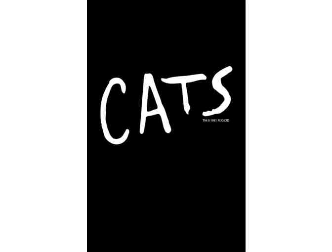 CATS Tickets - January 2nd 2021 at the Keller Auditorium - Photo 1