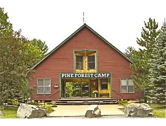 A Summer in the Mountains: Give your Child an Experience of a Lifetime at Pine Forest Camp