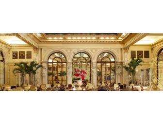 'Tea for Four in the World Famous Palm Court' at the Plaza Hotel in NY, NY