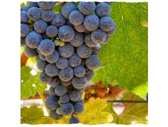 Clif Family Winery and Farm Weekend Escape for 4-Napa Valley,CA