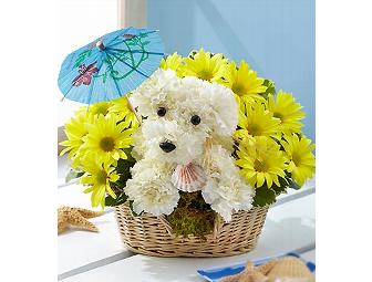 Seasons of Flowers: 1-800-Flowers Package!