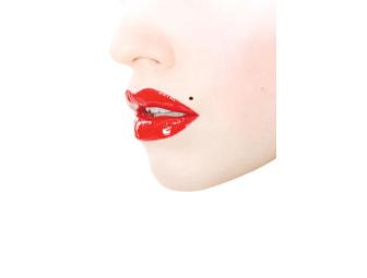 2012 Miami Spice Passport: Dinner for Two at Eight Participating Restaurants