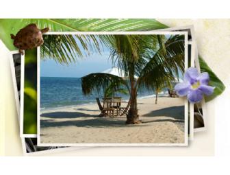 Experience Belize! Three Nights Stay in a Sea View Cottage at The Turtle Inn