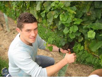 Take a Guided Wine Tasting & Tour with Joe Campanale for 6 people!
