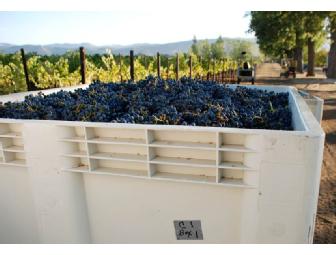 2005 Schrader 'Old Sparky' Cabernet Sauvignon - 1.5L