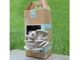 Back to the Roots Urban Mushroom Farm Adventure for up to 20 kids in Bay Area