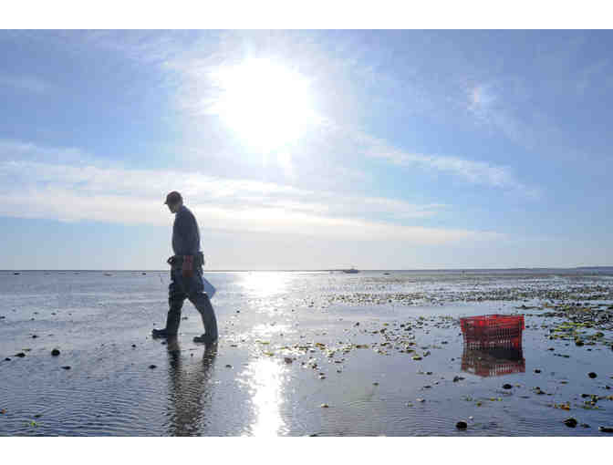 Island Creek Oysters Gift Pack