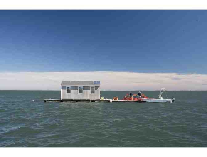 Island Creek Oysters Gift Pack