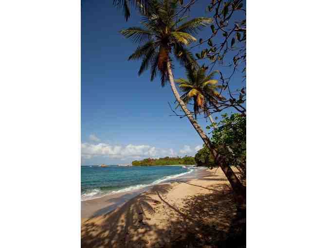 Awarded Eco Retreat Escape to Calibishie Cove