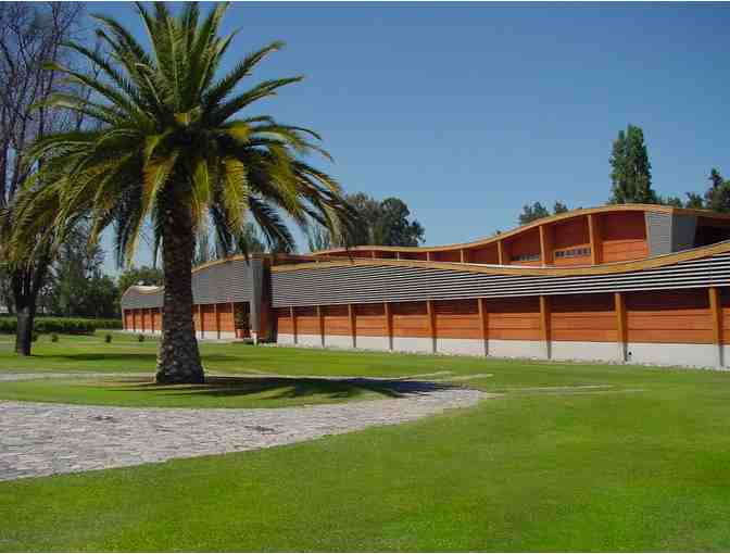 2011 Almaviva Maipo Valley Bordeaux Blend