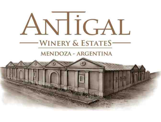 Antigal UNO Malbec 2014