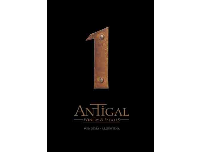 Antigal UNO Malbec 2014