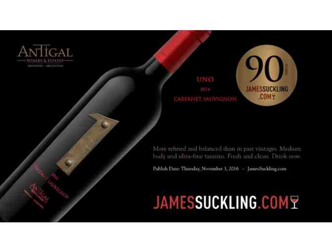 Antigal UNO Malbec 2014