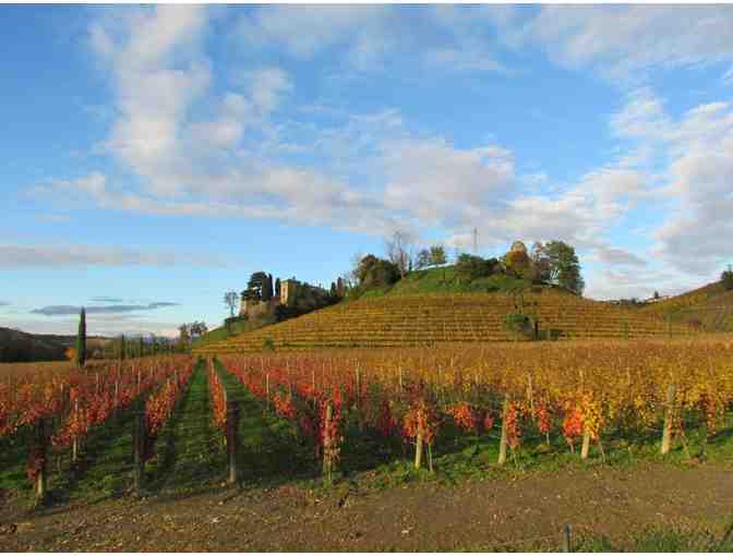 Hand Painted 3L Jermann Vintage Tunina 2014