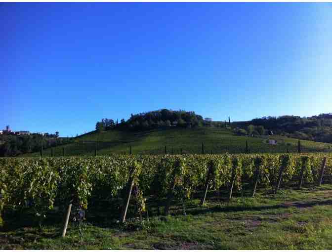 Hand Painted 3L Jermann Vintage Tunina 2014